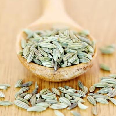 Fennel seeds - 10 gm